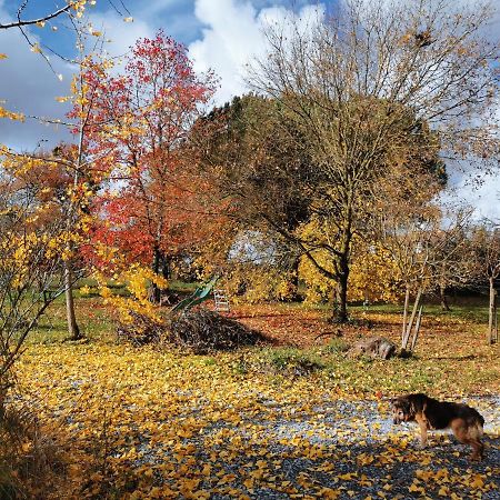Domaine Oustau Cassou Chez Yanou Et Yanetto Villa Sevignacq Eksteriør billede